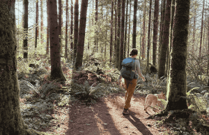 Coalatree Trailhead Pants | An Honest Review