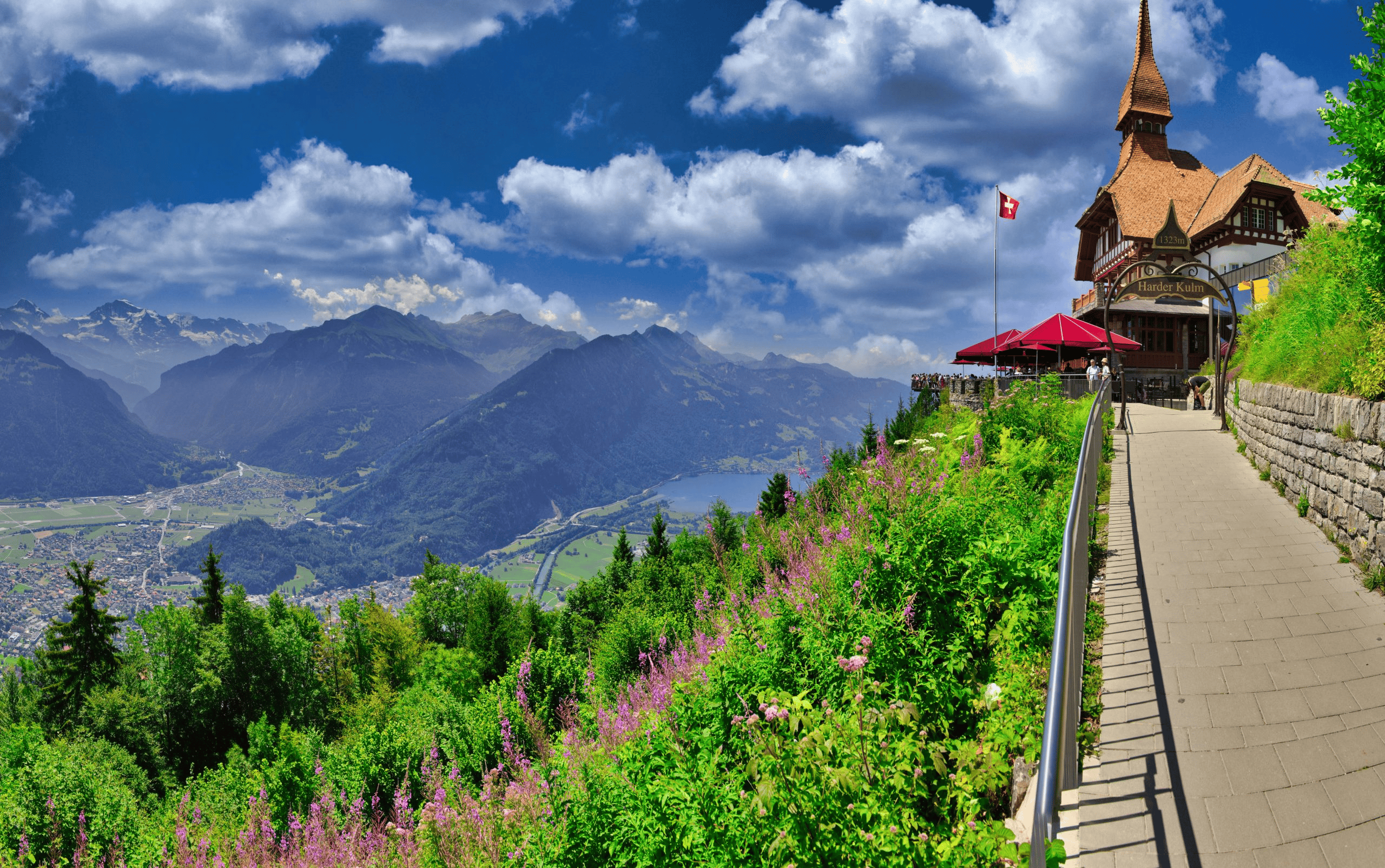 A summer photo of Harder Kulm with wildflowers and mountains in the photo.