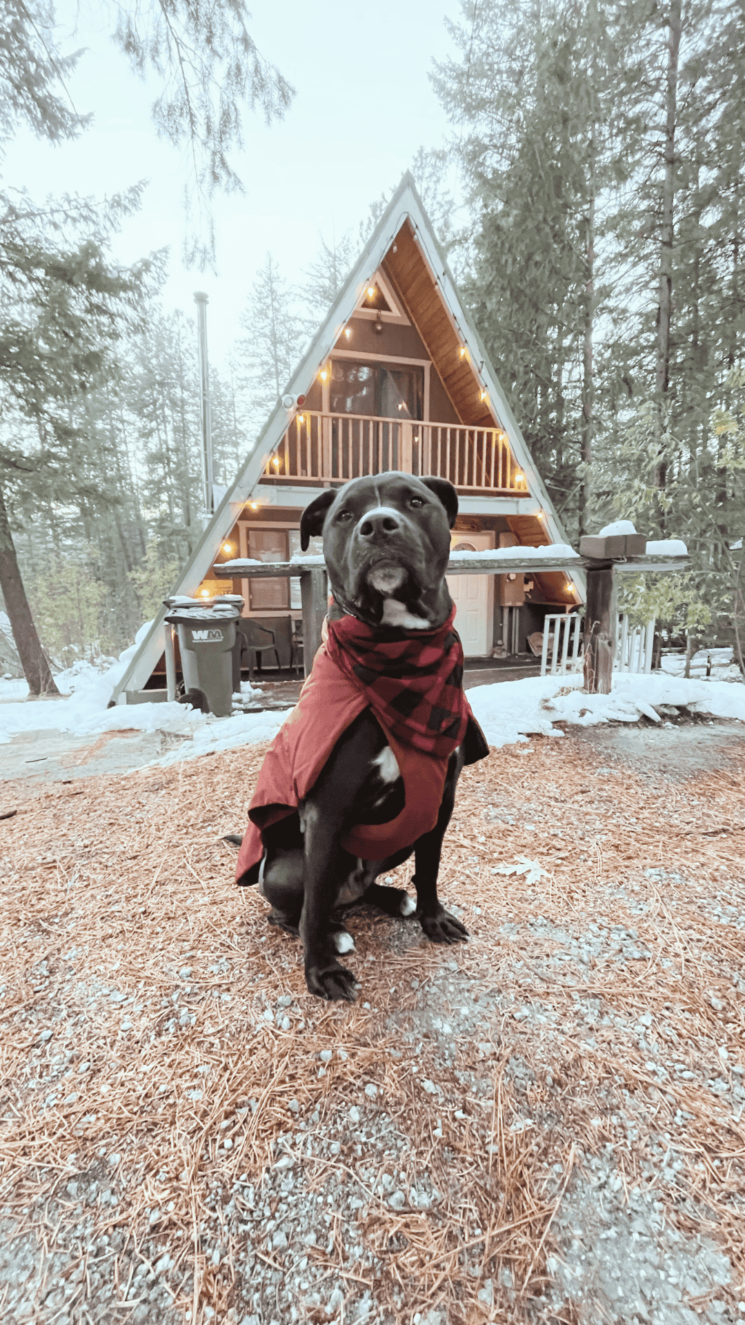 A dog in front of an A-frame cabin in Leavenworth, WA during the fall. Leavenworth has many cool and unique places to stay in Washington.