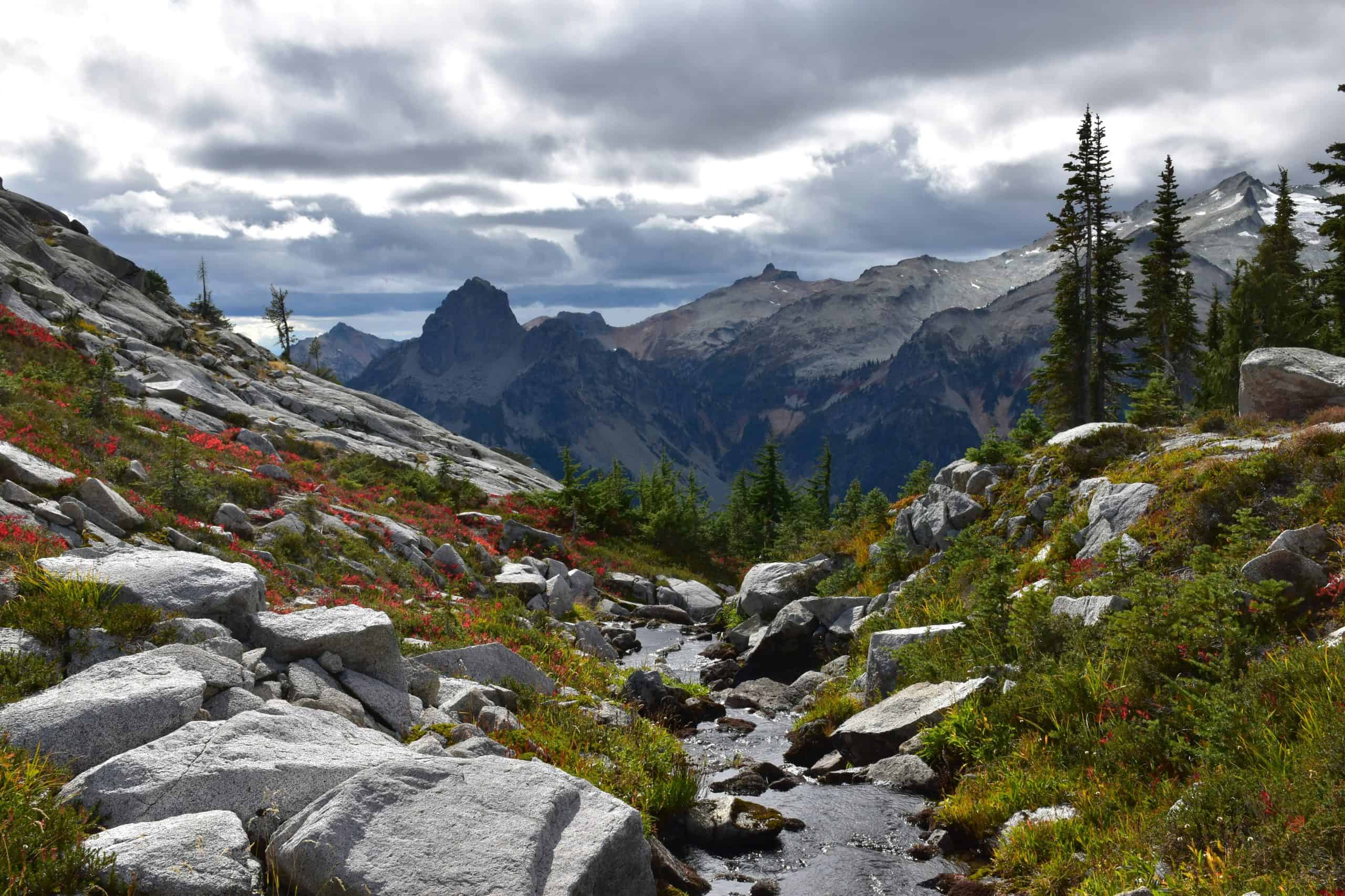A view of one of the creeks on the trail during a cloudy evening in Washington State.