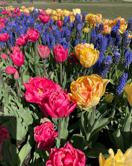 Edison is a very small town in Washington that you could blink and drive by it. However, the cute little town has a lot to offer and is on the list for a reason.