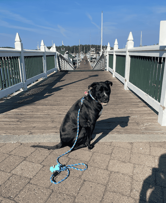 Roche Harbor on San Juan Island is a fun and slow pace town in Washington to visit.
