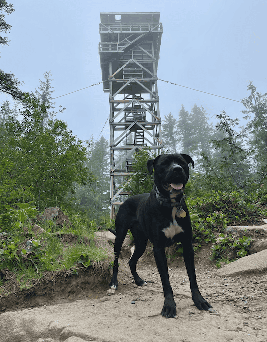 There are many hikes near Index, Washington with a lot of beautiful views of the surrounding mountains.