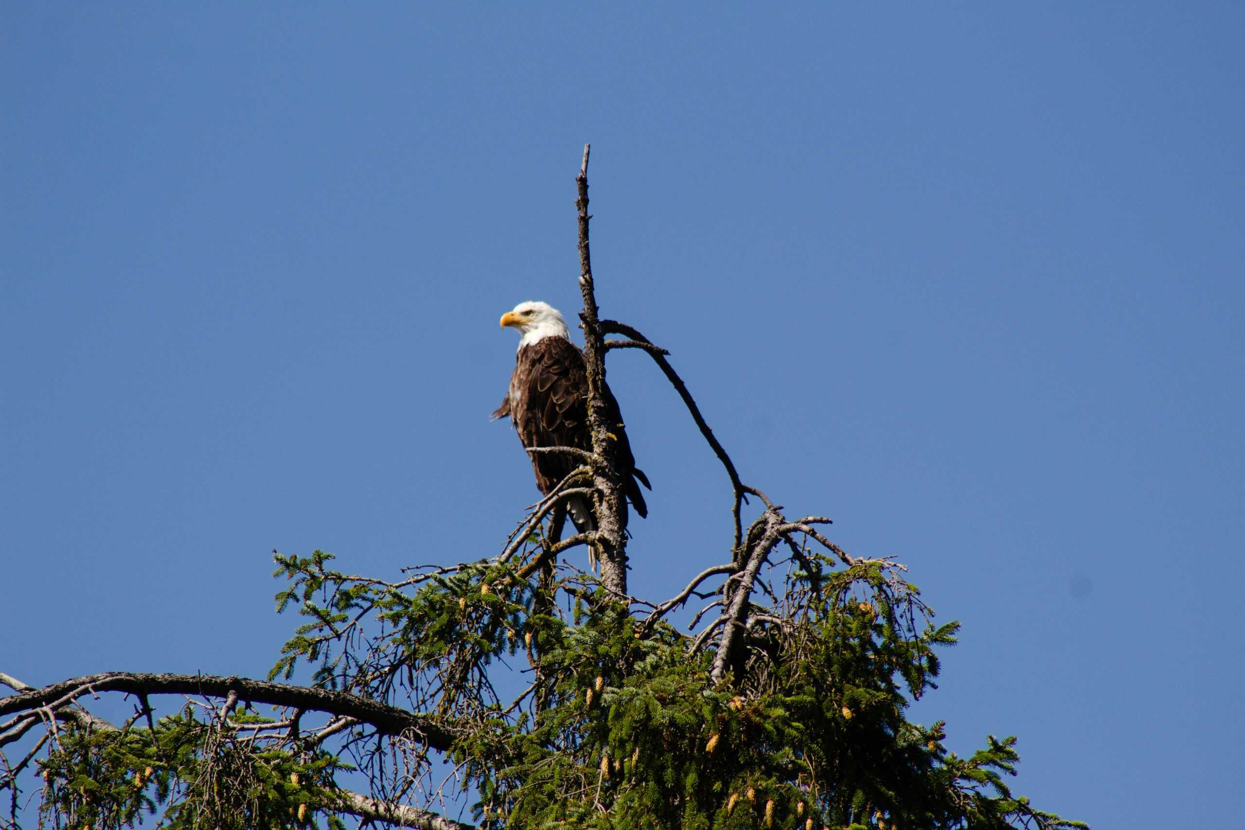 Sequim, Washington is a small town that is loved by outdoorsy folks and those who love a good cup of coffee.