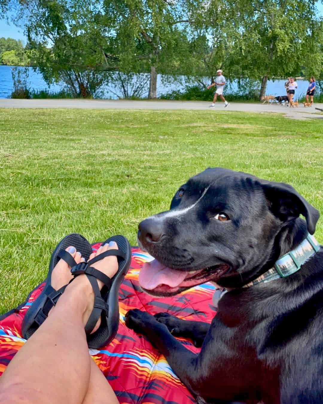 A woman with her dog lounging by a lake in the summer. She is wearing Chacos which are one of the perfect gifts for women for a birthday, holiday, or a just because gift.