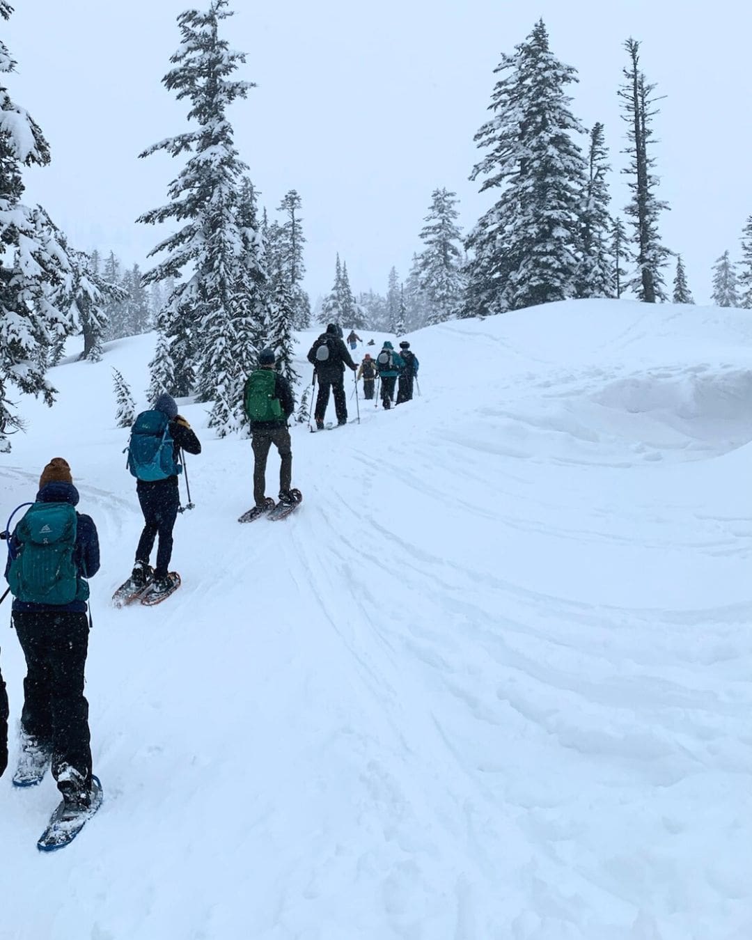 A group of friends snowshoeing on Mt. Baker in Washington State.